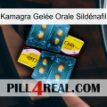 Kamagra Gelée Orale Sildénafil cialis5